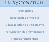 soins ostéopathiques methode tissulaire (Nîmes)